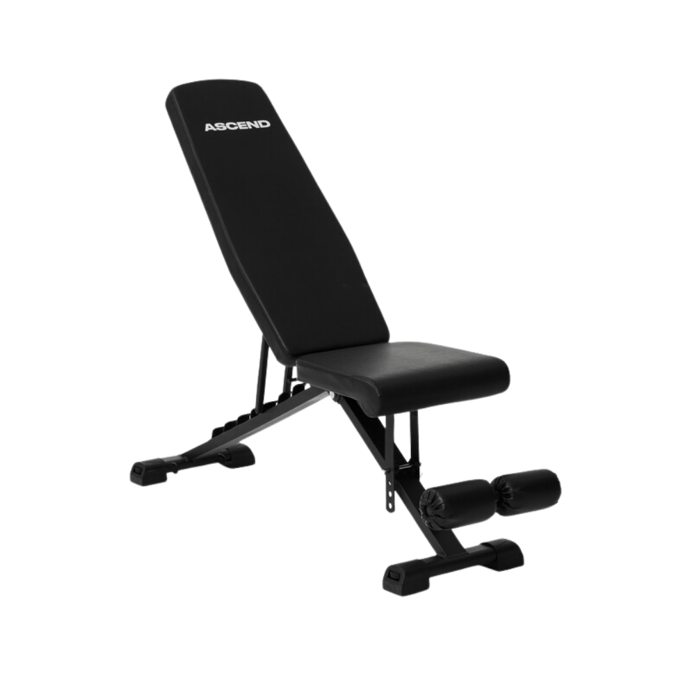 Adjustable and Foldable Workout Bench Ascend