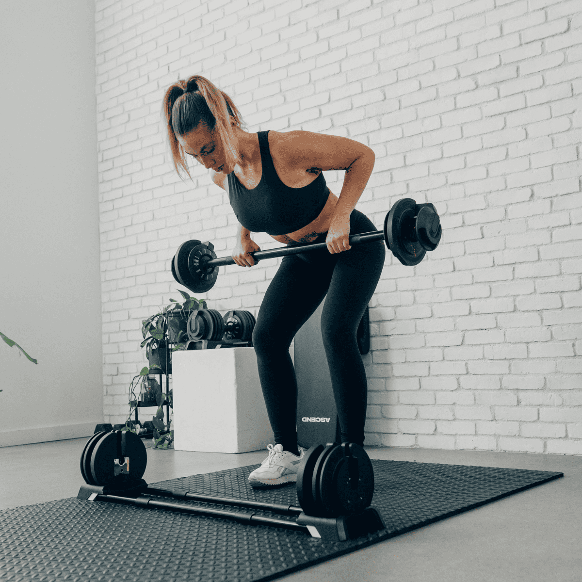 Bundle : Ascend 3-in-1 Adjustable Dumbbells (7 to 52.5 lb) & Bench