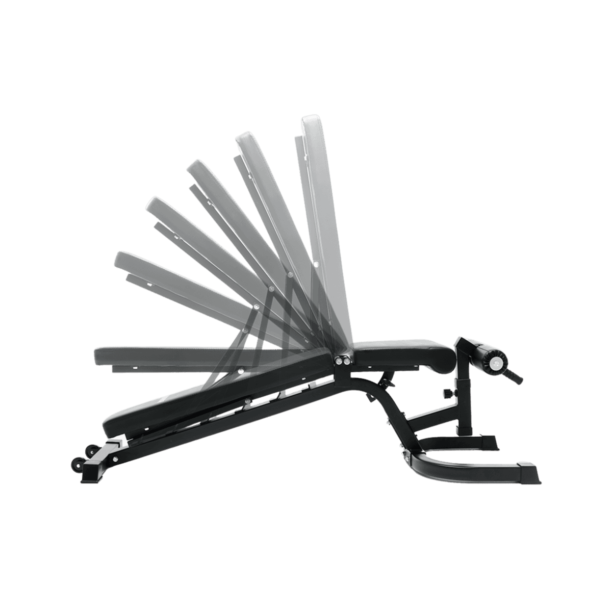 Banc de musculation robuste et ajustable Ascend